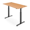 FLYTTA 2 Dual Motor Electric Standing Desk 120x70cm