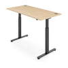 FLYTTA 2 Dual Motor Electric Standing Desk 100x60cm