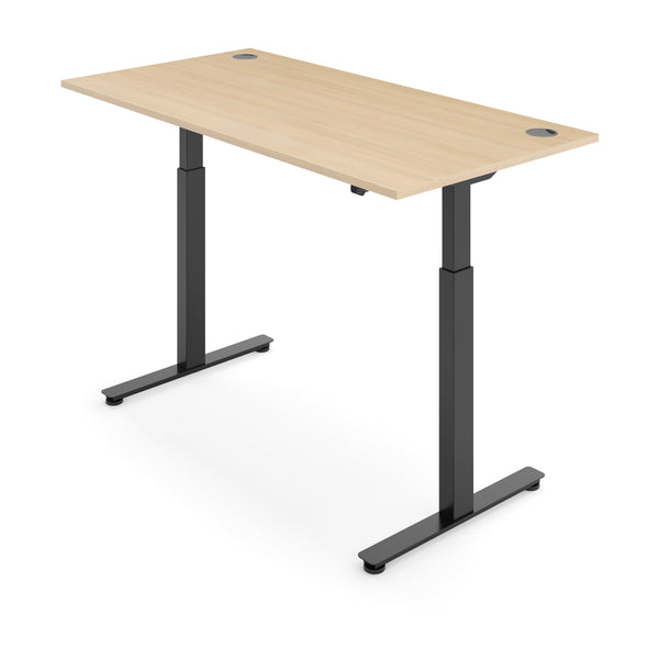 FLYTTA 2 Dual Motor Electric Standing Desk 100x60cm