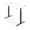 FLYTTA 2 Dual Motor Electric Standing Desk 120x70cm