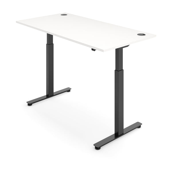 FLYTTA 2 Dual Motor Electric Standing Desk 120x70cm