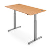 FLYTTA 2 Dual Motor Electric Standing Desk 120x70cm