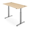 FLYTTA 2 Dual Motor Electric Standing Desk 100x60cm