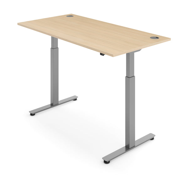 FLYTTA 2 Dual Motor Electric Standing Desk 100x60cm