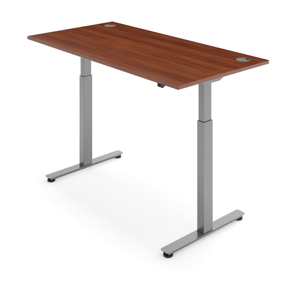FLYTTA 2 Dual Motor Electric Standing Desk 100x60cm