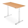 FLYTTA 2 Dual Motor Electric Standing Desk 100x60cm
