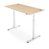 FLYTTA 2 Dual Motor Electric Standing Desk 120x70cm