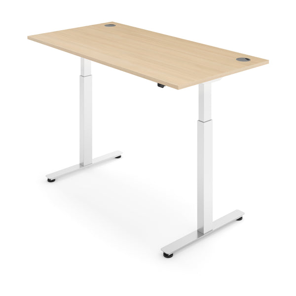 FLYTTA 2 Dual Motor Electric Standing Desk 120x70cm