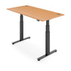 FLYTTA 2+ Dual Motor Electric Standing Desk 160x80cm