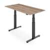 FLYTTA 2+ Dual Motor Electric Standing Desk 160x80cm