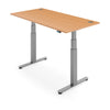 FLYTTA 2+ Dual Motor Electric Standing Desk 160x80cm