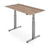 FLYTTA 2+ Dual Motor Electric Standing Desk 180x80cm