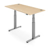 FLYTTA 2+ Dual Motor Electric Standing Desk 180x80cm