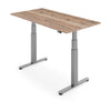FLYTTA 2+ Dual Motor Electric Standing Desk 160x80cm