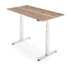FLYTTA 2+ Dual Motor Electric Standing Desk 160x80cm