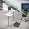 FLYTTA 2+ Dual Motor Electric Standing Desk 180x80cm