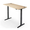 PRO 2+ Dual Motor Electric Standing Desk 160x80cm