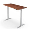 PRO 2+ Dual Motor Electric Standing Desk 160x80cm