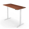 PRO 2+ Dual Motor Electric Standing Desk 180x80cm
