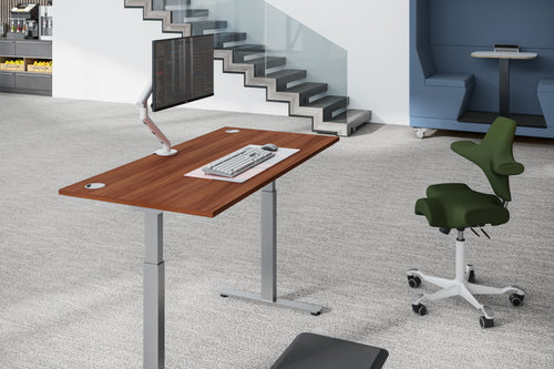 FLYTTA 2 Dual Motor Electric Standing Desk 120x70cm