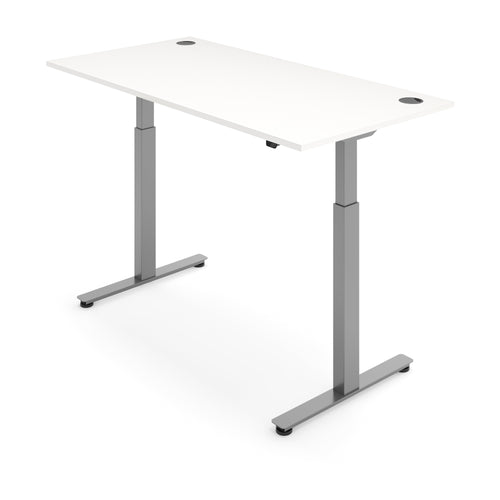 FLYTTA 2 Dual Motor Electric Standing Desk 100x60cm