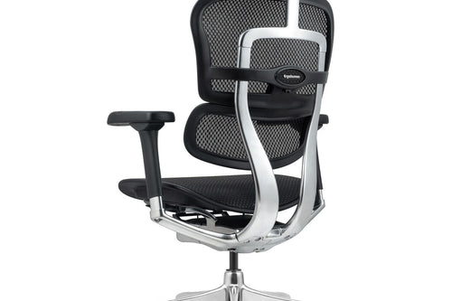 Ergohuman G2 Ergonomic Chair