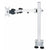 1x LCD Monitor arm Black or White (10kg Tilt, Swivel, Rotate) - UK Ergonomics